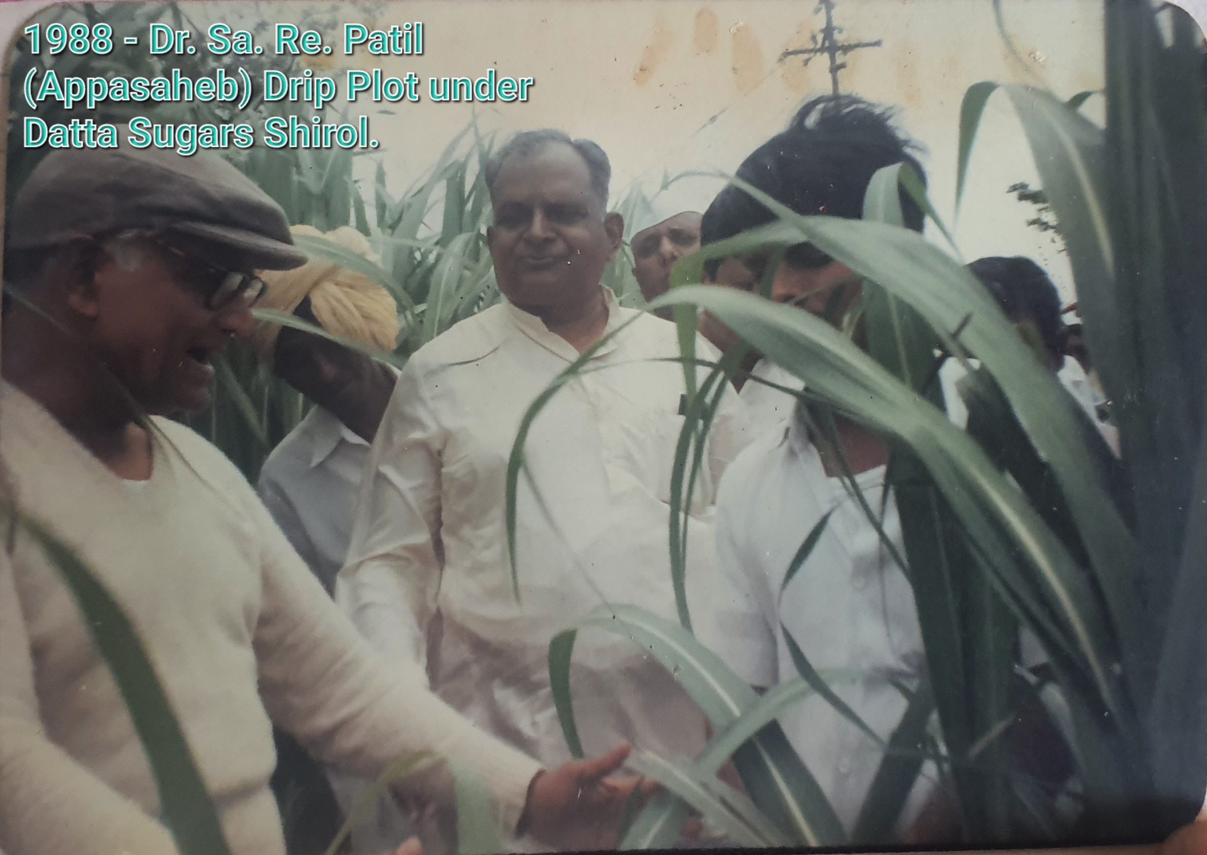Drip Irrigation Services since 1990 project image 7